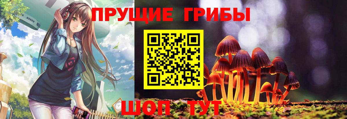 Псилоцибиновые грибы Psilocybe  Вход с VPN  Будённовск 